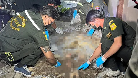 ฆ่าฝังดิน