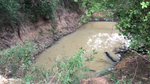 สลด เด็กน้อย 3 คน แอบไปเล่นน้ำ สุดเศร้าจมสระ ลึก 1.5 ม. ดับ 1 ศพ