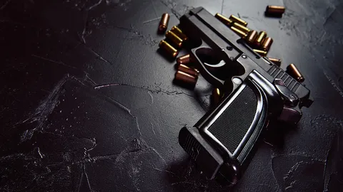 ปืนผิดมือผิดกฎหมาย?