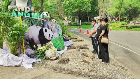 ไว้อาลัย (คลิป)