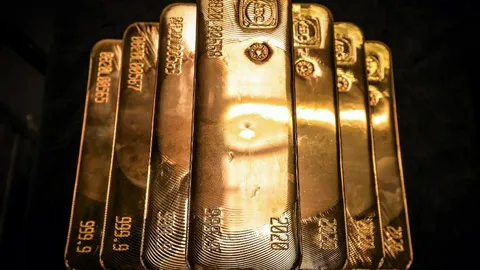 ตร.แคนาดาเร่งสอบคดีทองกว่า 500 ล้านหายจากสนามบิน