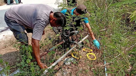 ฆ่ากิ๊กเมีย