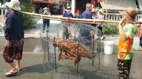 ได้ผล ชาวบ้านแห่นางแมว จับปลาบนบกประชดเทวดา ตกกลางคืนฝนตกทันที