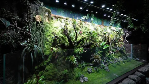 สำรวจความมหัศจรรย์ของป่าดิบชื้นใจกลางกรุง