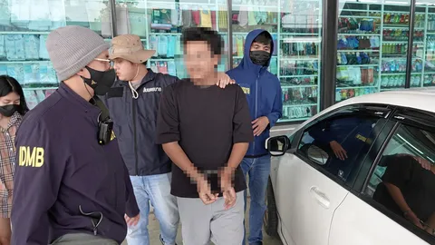 จิ้งจอกสังคม 