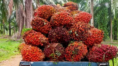 เขตเศรษฐกิจพิเศษการเกษตร นโยบายทวนกระแสประชานิยม