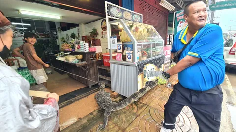 เห้ยักษ์อาละวาด บุกร้านข้าวมันไก่เบตงเจ้าดัง โมโหขวางกินลูกสุนัข (คลิป)  