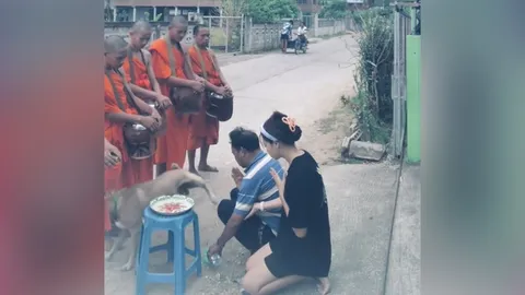 เก็บทรงไม่อยู่ พระ-เณร สวดให้พรผิดๆ ถูกๆ หลังเจ้าตูบยกขาฉี่ใส่ที่กรวดน้ำ (คลิป)