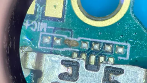 ช่างซ่อมมือถือ เจอ "เหา" ในโทรศัพท์ลูกค้า เตือนระวังเข้าหู หวั่นเกิดอันตราย