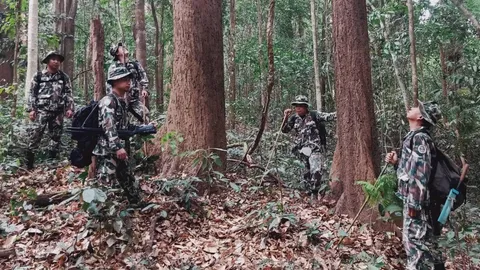 "ป่าดงตะเคียน" พบมากกว่าพันต้น ที่อุทยานแห่งชาติเวียงโกศัย