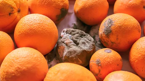 ของเน่าเป็นเหตุ