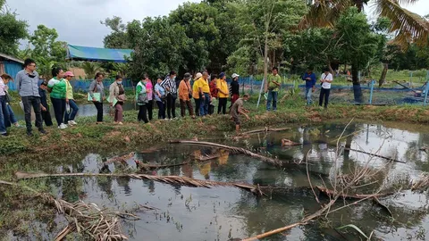 เกษตรกรวังน้ำเขียว ศึกษาการเลี้ยงสัตว์น้ำพื้นถิ่น เป็นรายได้เสริมแก่ครอบครัว