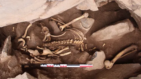 ไขปริศนาโครงกระดูกบนเกาะในสเปน