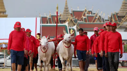 วันพืชมงคล 17 พ.ค. 2566 เช็กชัดๆ ราชการ เอกชน ธนาคาร ใครหยุดบ้าง