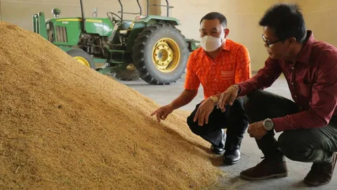 ศมข.สุราษฎร์ฯ หนุนเกษตรกร 4 จว.ใต้ใช้เมล็ดพันธุ์ข้าวคุณภาพดี