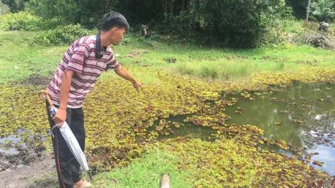 ชาวบ้านเศร้าใจ อุ้มฆ่าเด็ก 3 ขวบทิ้งบึงน้ำที่นราธิวาส ไม่เคยเกิดขึ้นในพื้นที่ 