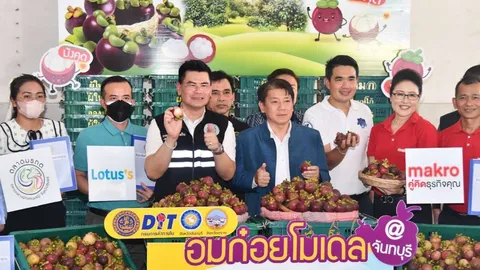 กรมการค้าภายในใช้ อมก๋อย โมเดล ประสานผู้ประกอบการซื้อมังคุด 8,500 ตัน 