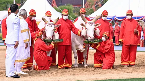 กินเสี่ยงทาย 