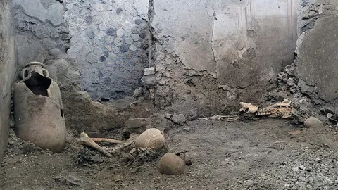 ค้นพบโครงกระดูกนายและทาส ในเมืองปอมเปอี