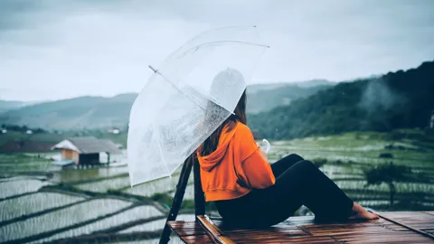 ที่เที่ยวหน้าฝน 2566 ปักหมุด 6 แหล่งธรรมชาติ สัมผัสทะเลหมอก