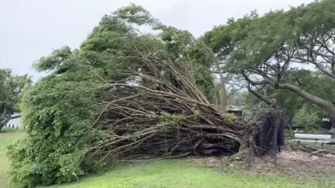 ไต้ฝุ่นมาวาร์ พัดเข้าเกาะกวม ทำฝนตกหนัก ลมพัดแรง กระแสไฟฟ้าดับเป็นวงกว้าง