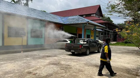 เกาะช้างไข้เลือดออกระบาด ป่วยแล้ว 81 ราย สธ.ส่งทีมตระเวนพ่นยาสกัดยุงลาย