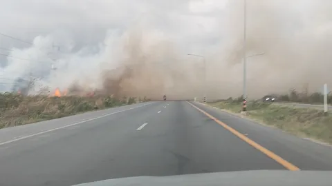 สุดอันตราย ไฟไหม้หญ้า ควันโขมงพุ่งข้ามถนน รถขับฝ่า ขาวโพลนไม่เห็นทาง (คลิป)