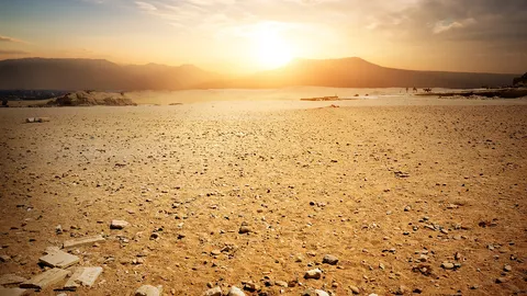 จี้เอาผิดเจ้าของที่รกร้าง ไฟไหม้หญ้า,ขยะก่อมลพิษ ส.ก.แนะออกกฎ