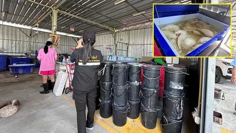 ภัยนักเปิบ 