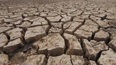 สู้ภัยเอลนีโญ แล้งฝนน้อย "เฉลิมชัย" เข้ม สั่ง 12 มาตรการ เก็บน้ำสำรอง