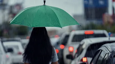 อย่าลืมพกร่ม อุตุฯ ฉบับ 4 เตือนฝนตกหนัก เช็กเลยจังหวัดไหนเตรียมรับมือ