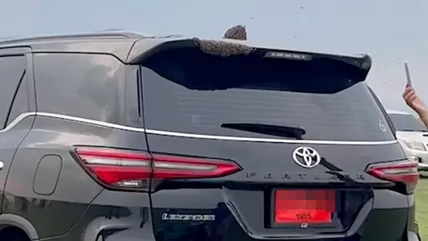 สาวจอดรถที่เขื่อนป่าสักฯ 20 นาที ผึ้งมาทำรังที่รถ ซ้ำตามกลับมาทำรังที่บ้าน