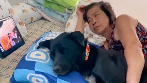 รู้เลยใครได้มรดก โซเชียลแห่แซว "เจ้าขนมเข่ง" ขี้อ้อนจนทำลูกสาวตัวจริงตกกระป๋อง