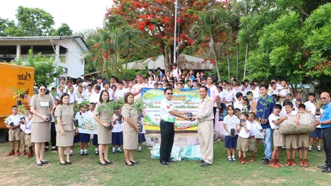 ร.ร.หนองแวงเหนือ รับกล้ามะรุม 500 ต้นไปปลูกในสวนเกษตร เอกชนรับซื้อ กก.ละ 110