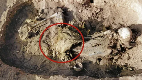 อานม้าเจอในจีน อาจเก่าแก่ที่สุดเท่าที่เคยพบ