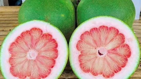 หอมควนลัง..ส้มโอเงินแสน