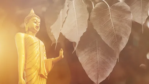 วันพระเดือนมิถุนายน 2566 เช็กวันพระไทยและจีนตรงกับวันใดบ้าง