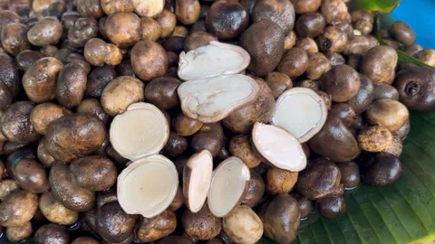 เห็ดเผาะที่ตลาดขอนแก่น ราคาทะลุ กก.ละ 700 บาท เผยช่วงออกใหม่ของยังมีไม่เยอะ