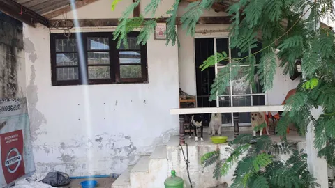 3 หมาเฝ้าศพนาย นอนตาย 4 วัน กลิ่นโชยว่อน เพื่อนบ้านแจ้ง ตร.เข้าตรวจสอบ