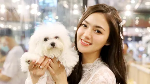 นนนี่ ณัฐชา จัดงานเทศกาลรวมพลน้องหมาสุด Rare สุด Luxury ครั้งยิ่งใหญ่