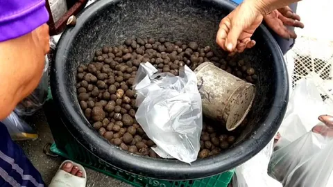 ฝนตกพาเห็ดถอบออก ตลาดอุ้ยสาดอยสะเก็ด ลิตรละ 180 ขายหมดเกลี้ยงใน 10 นาที