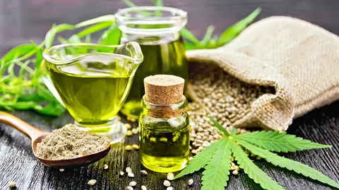 กัญชง และกัญชา กับประโยชน์ทางการแพทย์