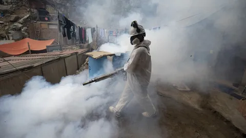 เปรูอ่วม ไข้เลือดออกระบาดหนัก ดับทะลุ 220 ศพ ติดเชื้อ 130,000 ราย (คลิป)