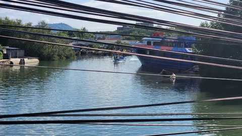 ผงะ "โลมา" หลงว่ายเข้าคลองท่าจีน จนท.หวั่นไม่รอด สั่งเฝ้าระวังด่วน