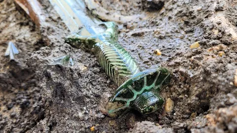 เยอรมนีพบดาบโบราณอายุ 3,000 ปี สภาพยังเงาวับ