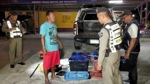 รวบแก๊งค้าลิง 33 ตัว โดนยิงยาสลบขังหลังรถ ตำรวจสกัดทัน-ส่งออกทํายาโด๊ป