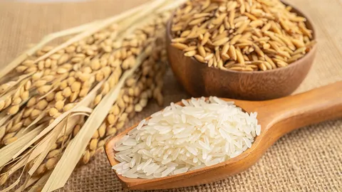 ฟันธงปีนี้ขายทะลุ 8 ล้านตัน ปลื้ม!ไทยกลับมารั้งอันดับ 2 ส่งออกข้าวโลก