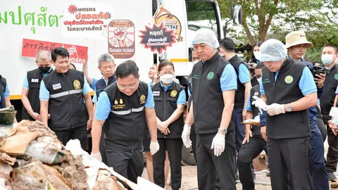 กำจัดเนื้อเถื่อน