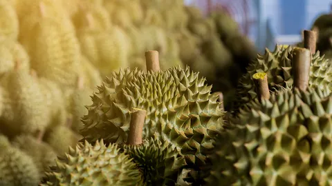 กรมศุลลั่นจับทุเรียนเถื่อนจริง มีจีพีเอสตามรถ-ไม่ใช่ของไทย