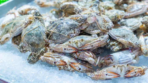 เจ้าของเพจดัง โพสต์ระบายหลังโดนหลอกขาย "อาหารทะเล" โซเชียลแห่ขอพิกัด